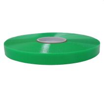 25 Foot Roll of 1 Inch BioThane Coated Webbing -  Hot Green Translucent