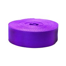 2 Inch Flat Nylon Webbing Purple