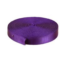 1 Inch Tubular Nylon Webbing Purple