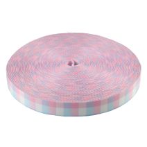 1 Inch Picture Quality Polyester Webbing Trans Pride Plaid