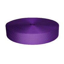 2 Inch Utility Polyester Webbing Purple